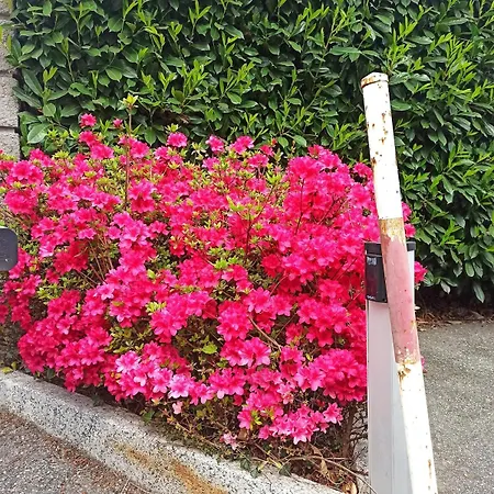 Casa Sandrina, Un Romantico Rifugio Vista